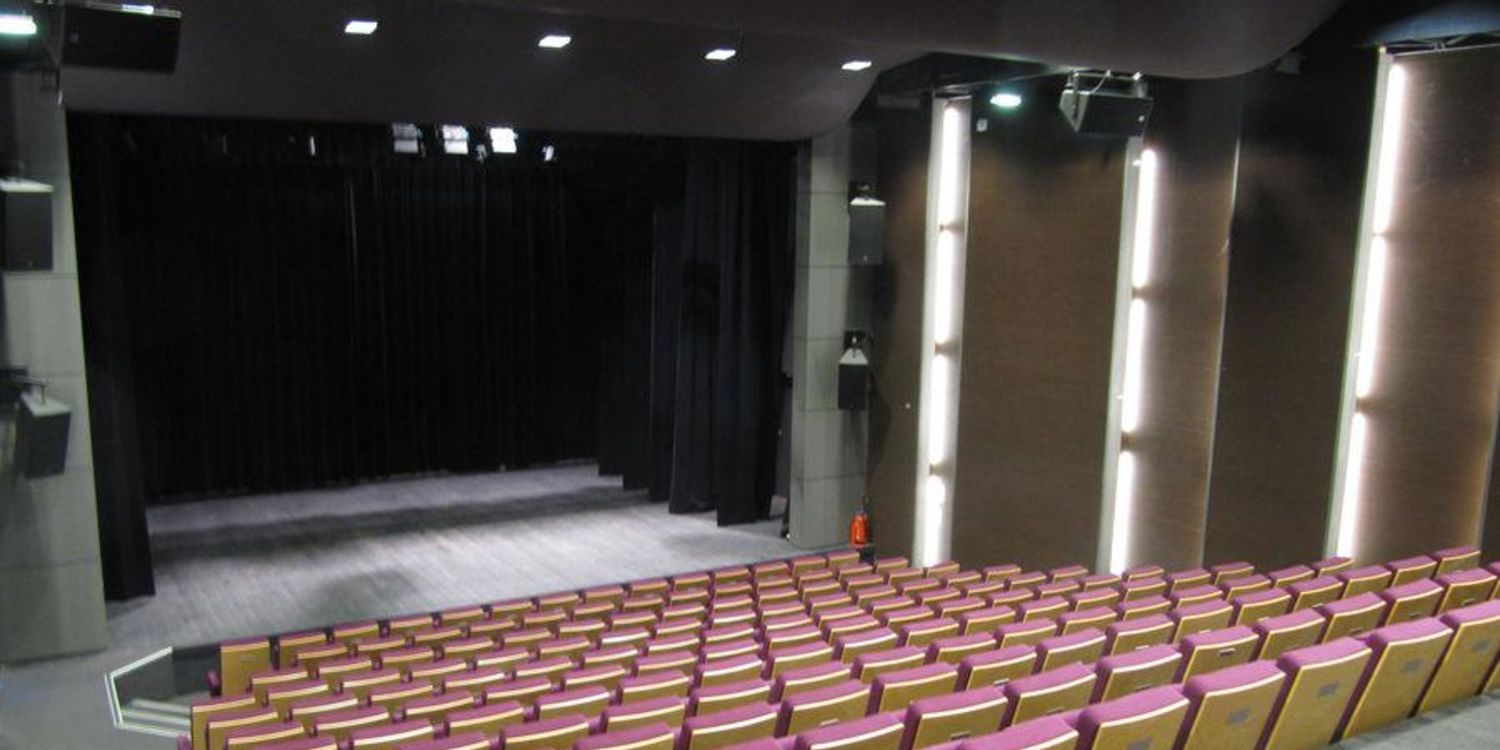 Espace Hillel, rental_room, Auditorium