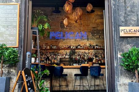 Pelican, Bar Lyon Les Pentes de la Croix Rousse #0