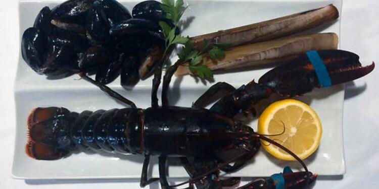 Chez Jules (fermé), restaurant