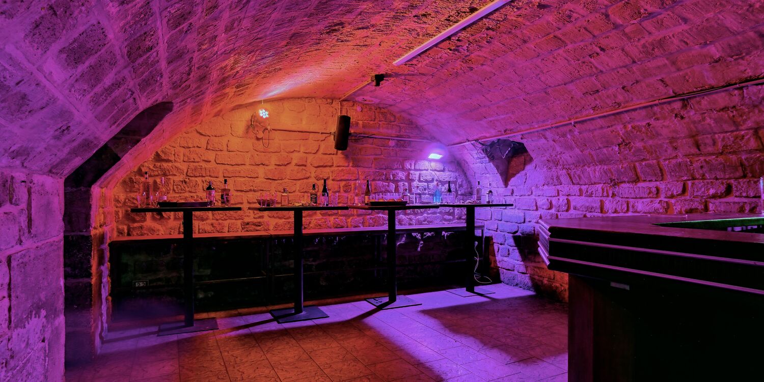 Le Mammouth Bar - Privatisation, rental_room