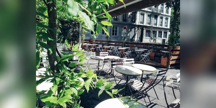 The Monkey Club, bar