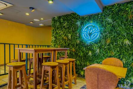 Lotus Club, Bar Poitiers Trois Quartiers-Centre Ville #0