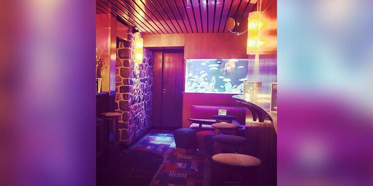 Bluebird, bar