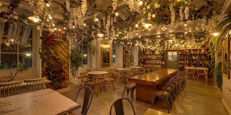 Rosemonde, bar