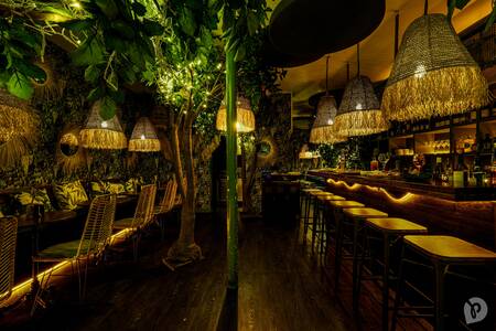 Vert Sauvage, Bar Paris Faubourg Montmartre #0