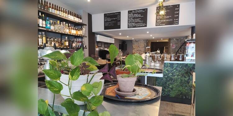 la taniere des loups, bar