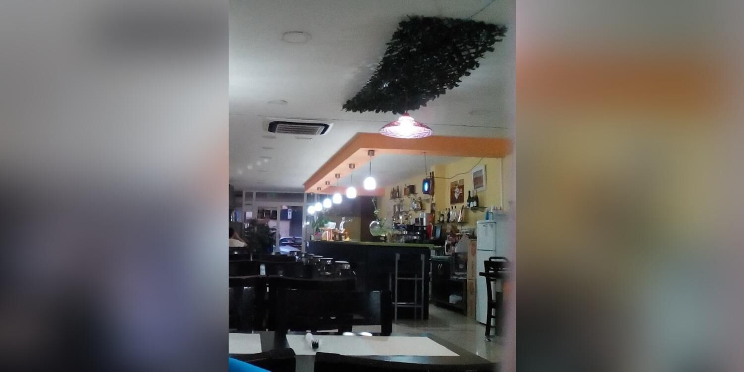 Flores bar, bar