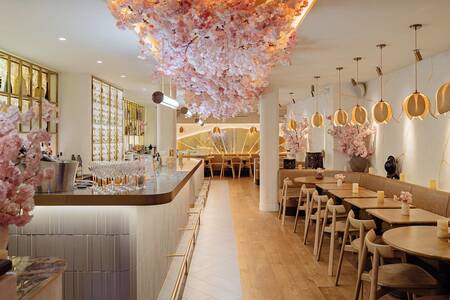 Benihana Paris (Bar), Bar Paris Palais-Royal #0