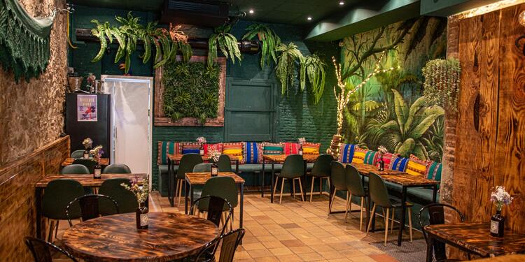 Samambahia Bar, bar
