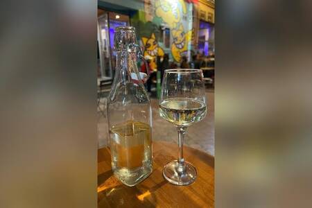 Chat perché, Bar Marseille Notre-Dame-du-Mont #0