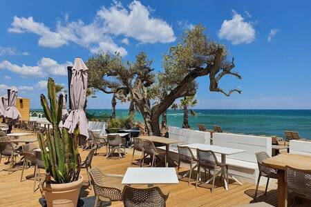 Le Caliente, Bar Saint-Cyprien Saint-Cyprien Plage #0