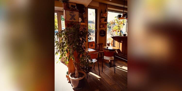 Muche - Guinguette Bistrot, bar