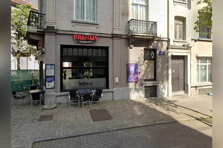 Fénix Bar, Bar Forest  #0