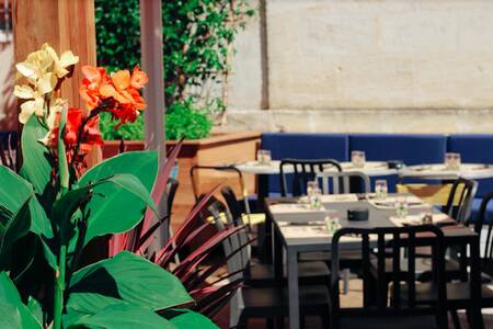 Le Carnaval Café, Bar Bègles Bègles #0