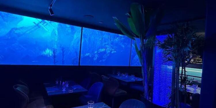 4U restaurant immersif, restaurant