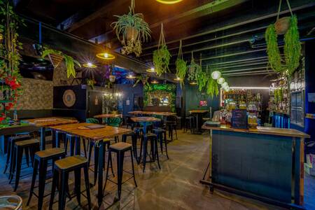O'Warm, Bar Marseille Lodi #0