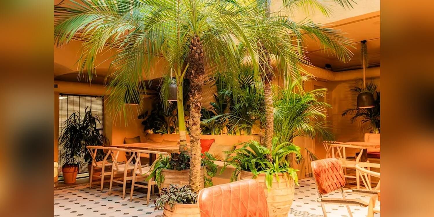 Sea You House, restaurant