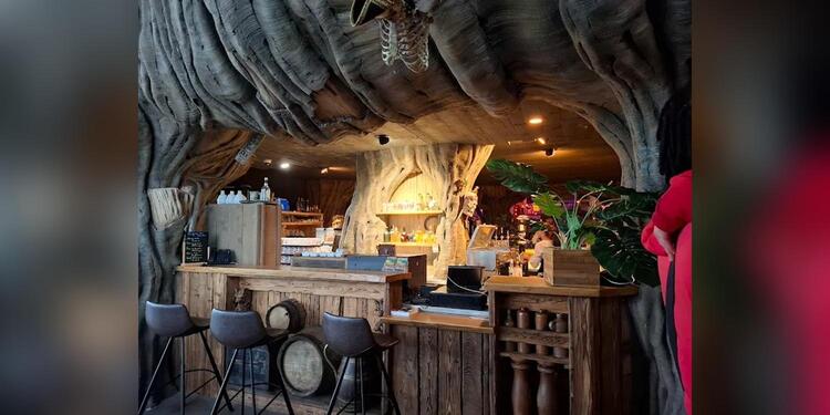 Pirate paradise, bar