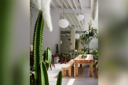 Káktos Botanical Society, Sala de alquiler Barcelona L'Eixample #0