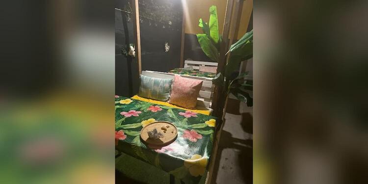 Carib'licious, restaurant