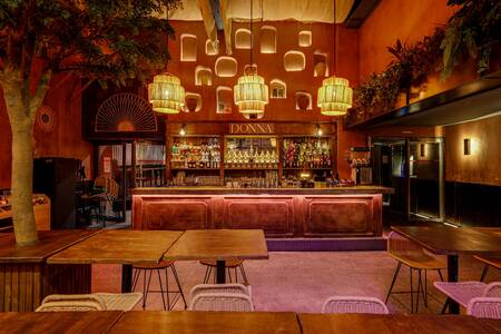 Donna, Bar Toulouse Saint-Aubin #0