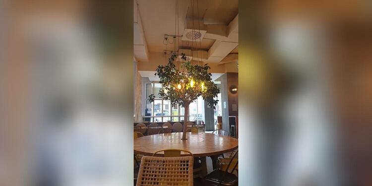 Cherry Pecas, restaurant