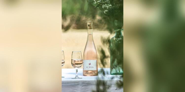 Domaine Jas Monges, bar