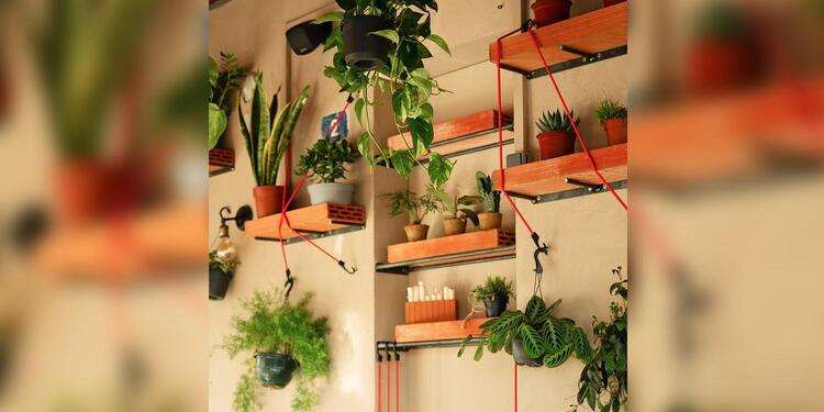 L’Arbre Bleu, restaurant