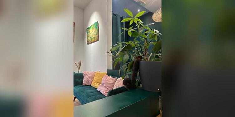 Caffè Batavia, restaurant