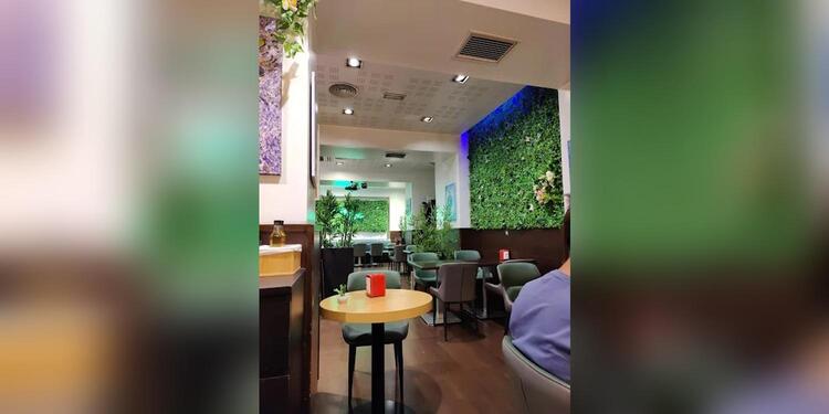 JAPON JAMON ARENAS, restaurant