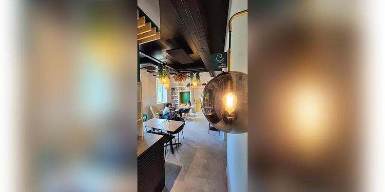 LE BERCAIL, restaurant