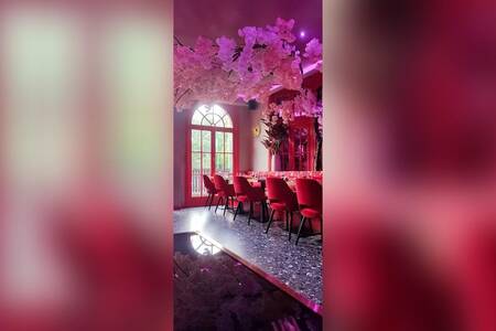 Pink Buddha, Bar Uccle Stalle #0
