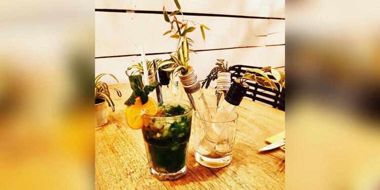 The White Cat - Restaurant Montpellier, restaurant