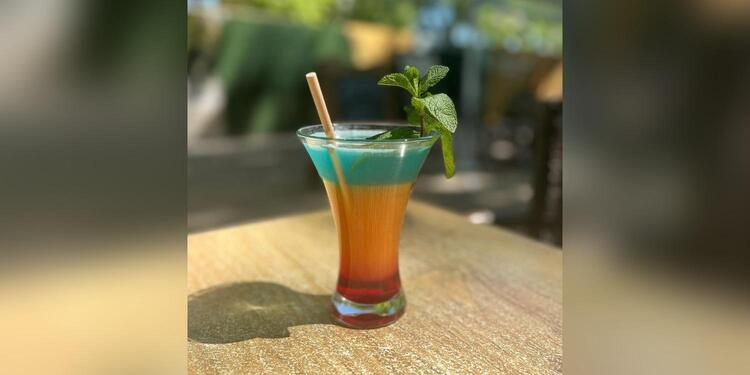 The White Cat - Restaurant Montpellier, restaurant