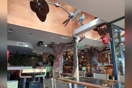 Tree Bô, Bar Saint-Laurent-du-Var  #0