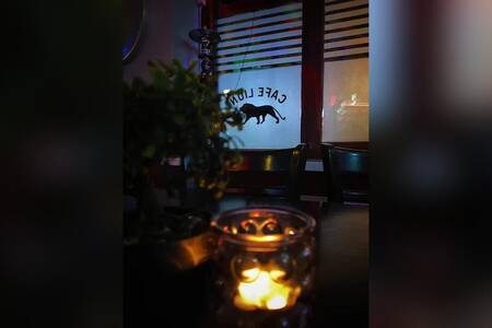 Cafe Lion, Bar Schaerbeek Quartier Brabant #0