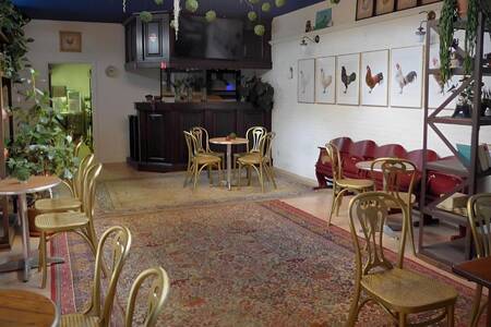 D?Hanekeef Café, Bar Mechelen Malines #0