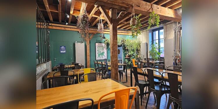 Un Singe en Hiver, bar