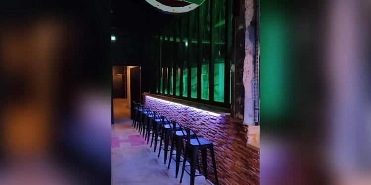 GREEN DOGS' BEER, bar