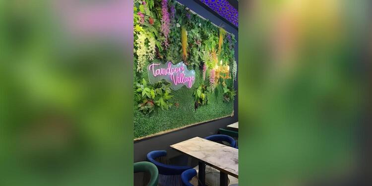 Tandoori Village, restaurant