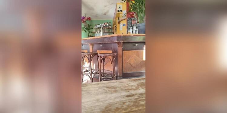 Au Chat Noir, bar