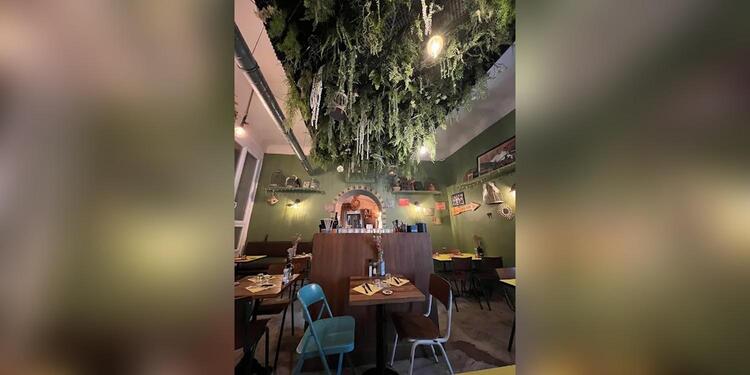 The Bird, restaurant