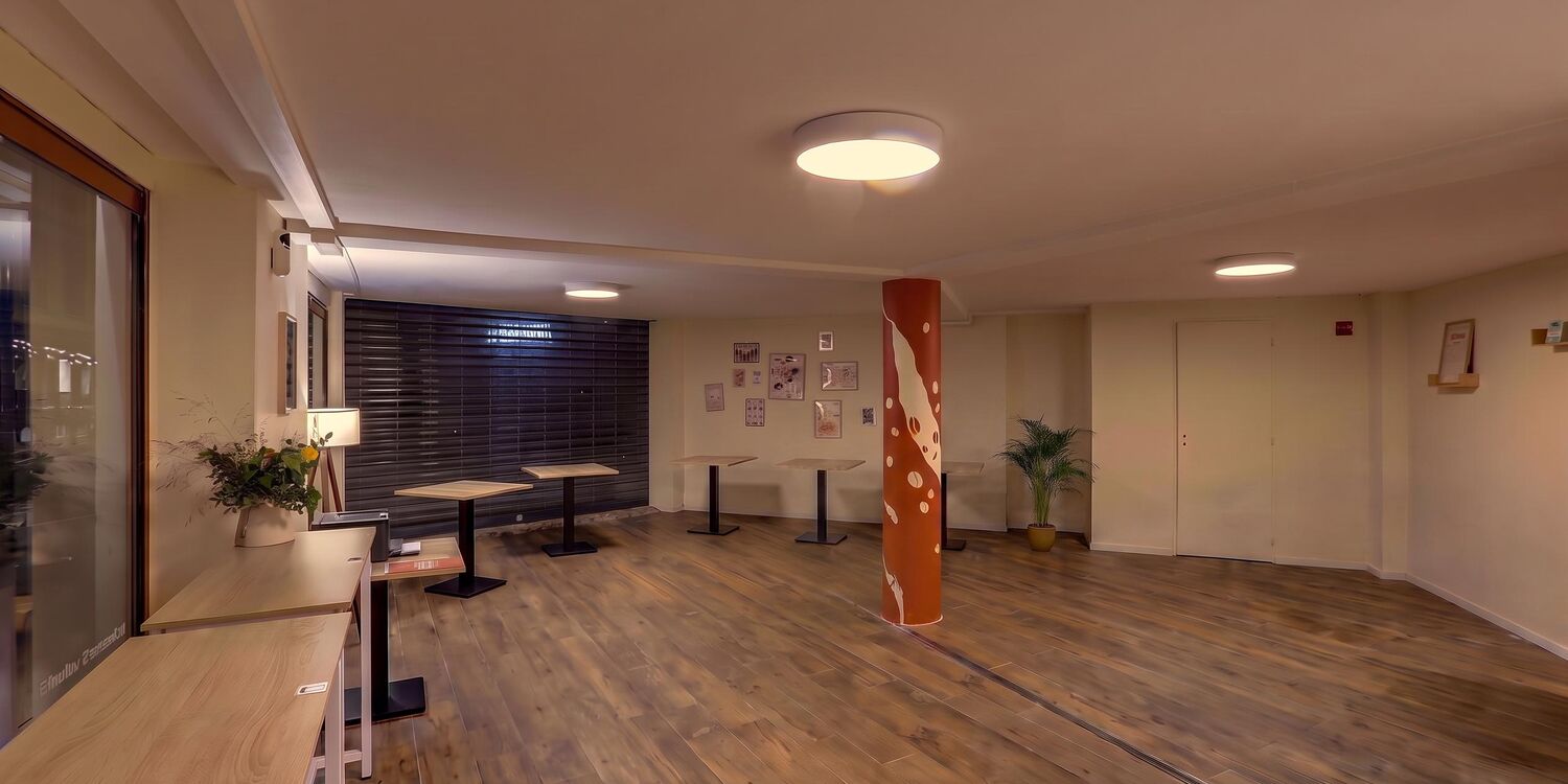 Noma - Privatisation, rental_room