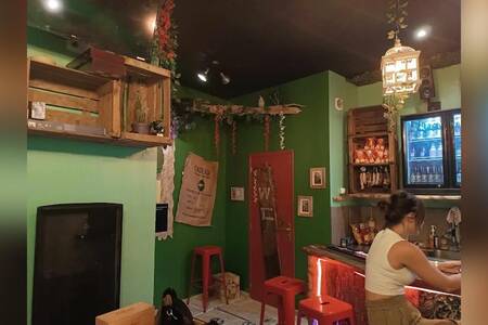 Jungle Taverne, Bar Carcassonne Centre-ville #0