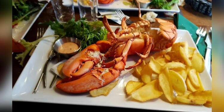 Black Shelter Carquefou, bar