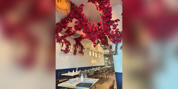 YAMAS restaurant, restaurant