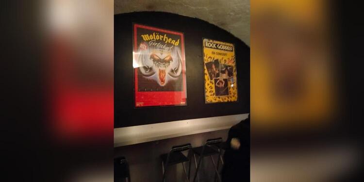 Hops'n'Roll / Midnight Brewing, bar