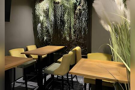 Jungle Bar Caen tapas and cocktails, Bar Caen Caen  #0