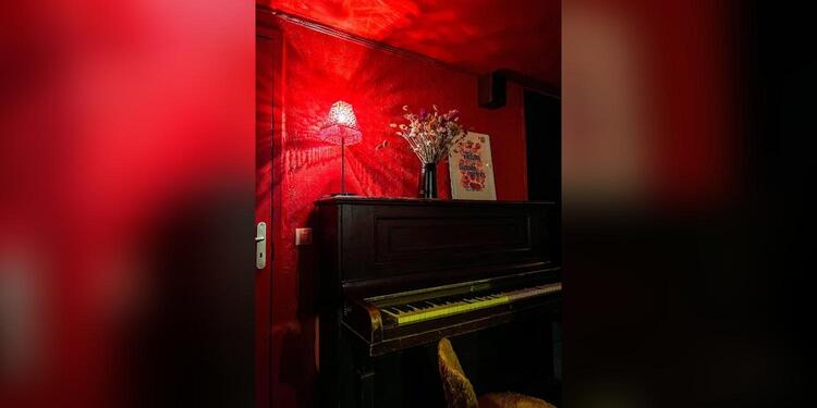 Le chaton indépendant, bar