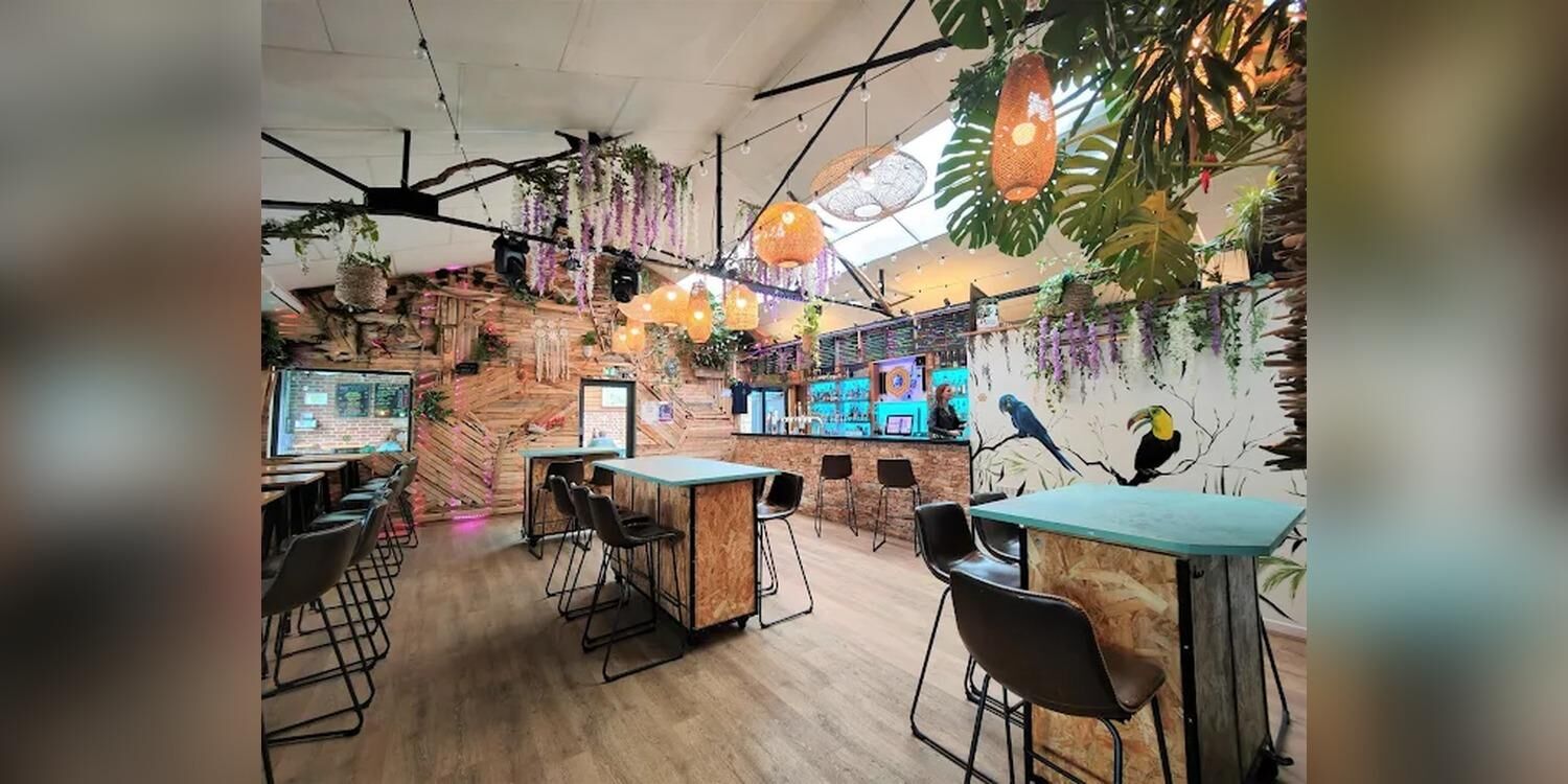 NETWORK - Bar des copains - Bar à cocktails, bar